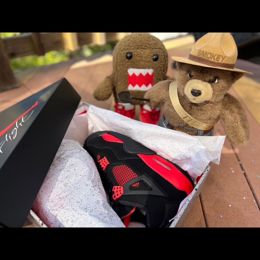 Jordan thunder reds